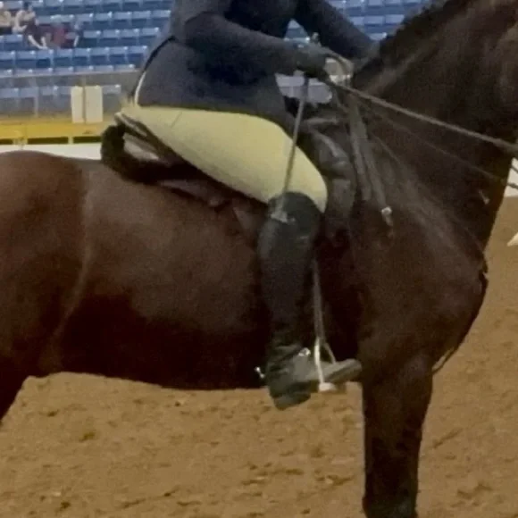 Ariat Tall Wide Black Riding Boots - Picture 12 of 13